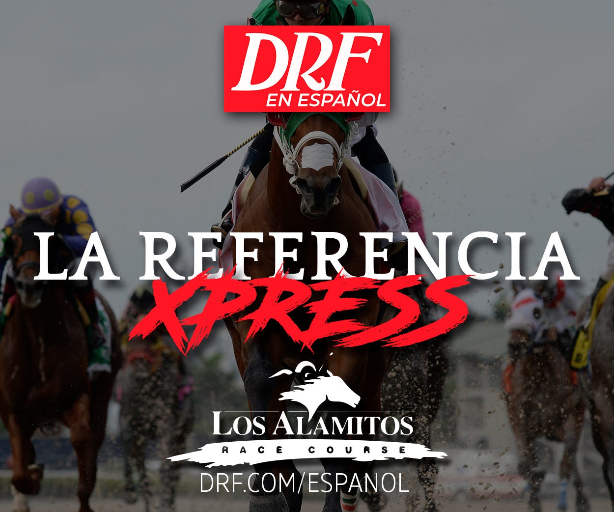 La Referencia Xpress para Los Alamitos / Diciembre 18